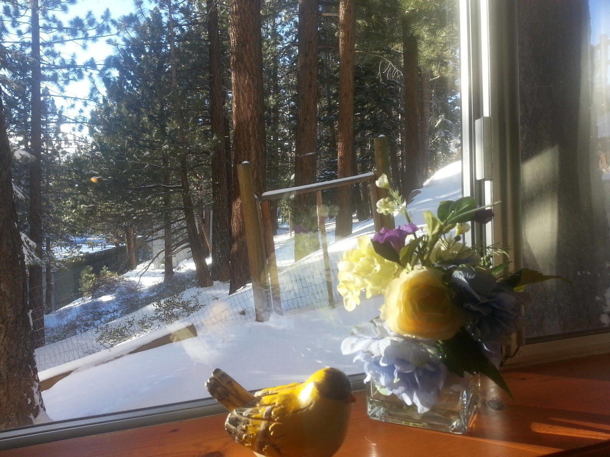 Innsbruck Lodge Mammoth Lakes Eksteriør bilde