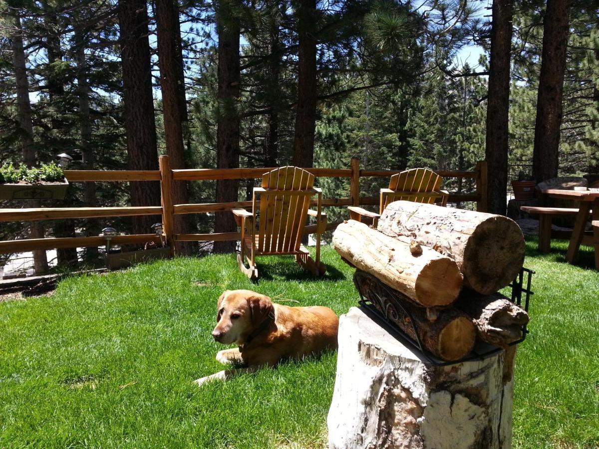 Innsbruck Lodge Mammoth Lakes Eksteriør bilde